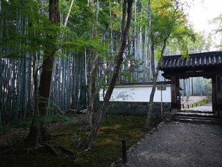 竹の寺・地蔵院