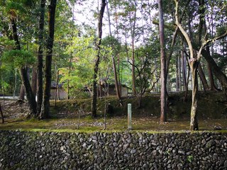 西芳寺(苔寺)