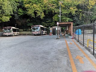 西芳寺(苔寺)