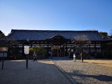誉田八幡宮の写真