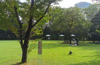 東京都庭園美術館(旧朝香宮邸)