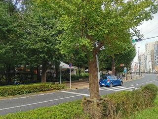東京都庭園美術館(旧朝香宮邸)