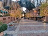 恵比寿ガーデンプレイスの写真