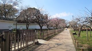 弘道館公園
