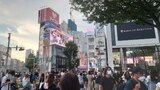3D三毛猫・クロス新宿ビジョンの写真