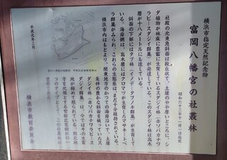 富岡八幡宮