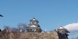 浜松城の写真