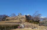 浜松城の写真