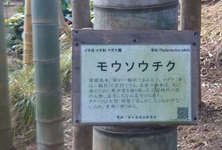 等々力渓谷・日本庭園