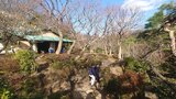 等々力渓谷・日本庭園の写真