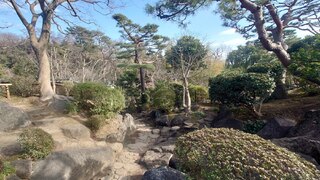 等々力渓谷・日本庭園