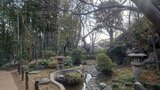 等々力渓谷・日本庭園の写真