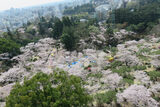 八幡山公園の写真