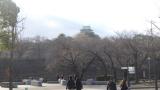 大阪城公園の写真