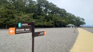 桂浜公園