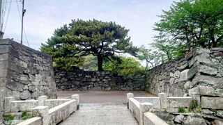 徳島中央公園(徳島城跡)