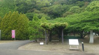 徳島中央公園(徳島城跡)