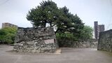 徳島中央公園(徳島城跡)の写真