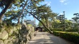 玉藻公園(高松城跡)の写真