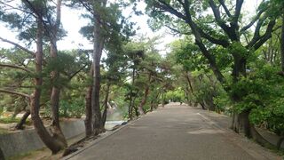 夙川公園