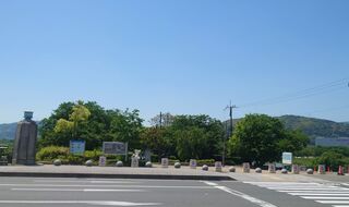 背割堤(淀川河川公園)