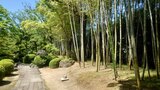 松花堂庭園・美術館の写真