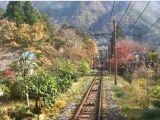 箱根登山電車（ケーブルカー）