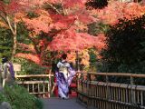 椿山荘東京 庭園