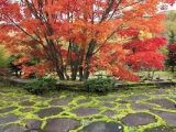 上砂川岳日本庭園